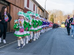 Faschingszug Pressath 2025_27